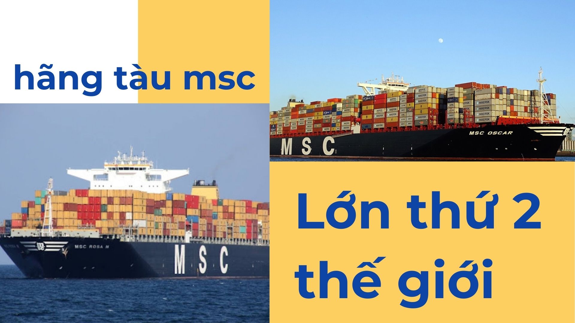 hãng tàu msc lớn thứ 2 trong top 15 hãng tàu lớn nhất thế giới